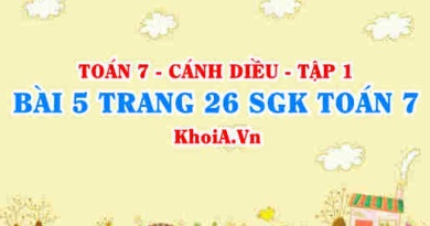 Bài 5 trang 26 SGK Toán 7 tập 1 Cánh Diều